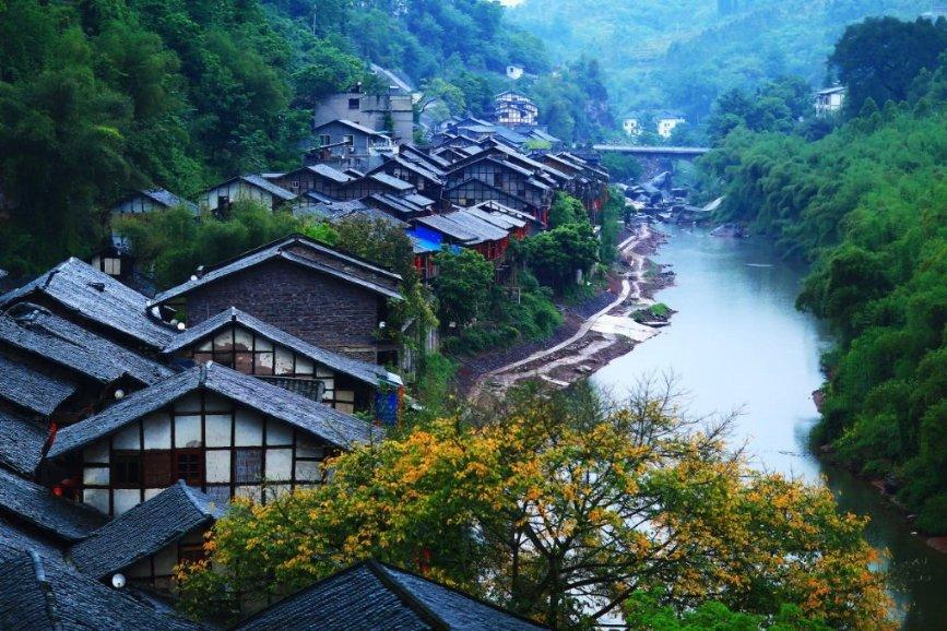 雷竞技比分